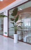Туры в отель Home Inn Rui Bai Yun Hotel (Qingdao West Coast Qingdao West Railway Station Branch)