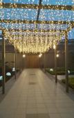 Туры в отель Lijun Hotel