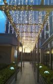 Туры в отель Lijun Hotel