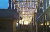 Туры в отель Lijun Hotel