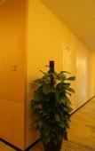 Туры в отель Chengdu Yunhao High Altitude Hotel (Jinniu Wanda Liangjiaxiang Subway Station)