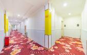 Туры в отель Hongfu Business Hotel (Dongguan Dalangzhen Station Branch)