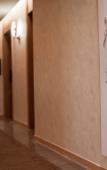 Туры в отель Zion Hotel (Tongxiang Economic Development Zone)