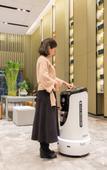 Туры в отель Mehood International Hotel