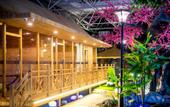 Туры в отель Jichun Hotspring Resort & Spa