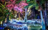 Туры в отель Jichun Hotspring Resort & Spa
