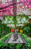 Туры в отель Kaiding Garden Hotel
