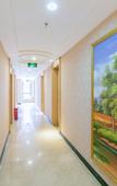 Туры в отель Vienna Hotel (North Square of Chengdu North Railway Station)