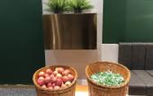 Туры в отель Xike Hotel (Central Hospital East Hospital Pingqiao Century Plaza Branch)