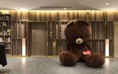 Туры в отель Xike Hotel (Central Hospital East Hospital Pingqiao Century Plaza Branch)