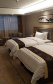 Туры в отель Shengshi Manhattan Hotel