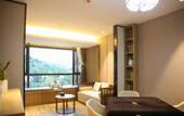 Туры в отель METEORLAND Hotel (Chengdu Universiade Sports Center)