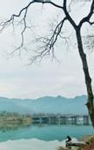 Туры в отель GRAND NEW CENTURY RESORT Bamboo Expo Garden Anji