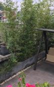 Туры в отель Guangzhou Youyi Hotel