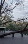 Туры в отель Small Luxury Hotels of The Word-Hangzhou Muh Shoou Xixi Hotel