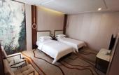 Туры в отель Yunpu International Hotel (Foshan Lecong Furniture World)