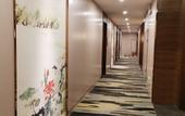 Туры в отель Yunpu International Hotel (Foshan Lecong Furniture World)