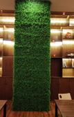 Туры в отель Yunpu International Hotel (Foshan Lecong Furniture World)
