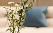 Туры в отель BYBROOK RESORT HOTHL