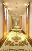 Туры в отель Vienna Hotel (Xi'an The Mixc Sanqiao Metro Station)