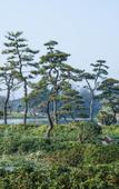 Туры в отель Yangzhou Seclusive Life Hot Spring Resort