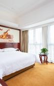 Туры в отель Vienna International Hotel (Taixing Huangqiao Jiayuan Plaza)