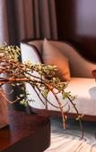 Туры в отель Xingxing International Hotel