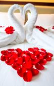 Туры в отель Xingxing International Hotel
