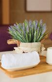 Туры в отель Lavande Hotels (Huizhou Zhongkai Chenjiang South Station Tianyi City Branch)