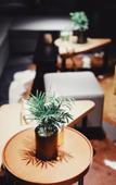 Туры в отель CitiGO Hotel (Old Street Kunming, Cuihu Park)