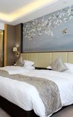 Туры в отель Meiyu International Hotel