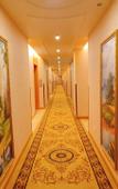 Туры в отель Vienna International Hotel