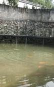 Туры в отель Yandang Mountain Hot Spring Hotel