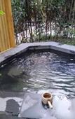 Туры в отель Yandang Mountain Hot Spring Hotel