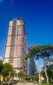 Туры в отель Taidong Fashion Island Hotel