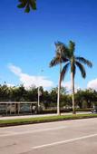 Туры в отель Taidong Fashion Island Hotel
