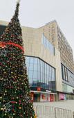 Туры в отель SFEEL Designer Hotel