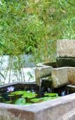 Туры в отель Joy Magpie Chinese Courtyard Hotel(Chengdu Shuangliu Airport)
