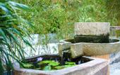 Туры в отель Joy Magpie Chinese Courtyard Hotel(Chengdu Shuangliu Airport)