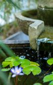 Туры в отель Joy Magpie Chinese Courtyard Hotel(Chengdu Shuangliu Airport)
