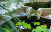 Туры в отель Joy Magpie Chinese Courtyard Hotel(Chengdu Shuangliu Airport)