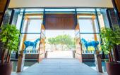 Туры в отель Joy Magpie Chinese Courtyard Hotel(Chengdu Shuangliu Airport)