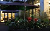 Туры в отель Rose Holiday Hotel