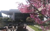 Туры в отель Rose Holiday Hotel