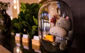 Туры в отель Shanglan International Hotel