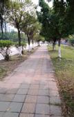 Туры в отель Shanshui Trends Hotel (Guangzhou Shitan Zengcheng High-speed Railway Station)