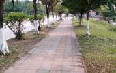 Туры в отель Shanshui Trends Hotel (Guangzhou Shitan Zengcheng High-speed Railway Station)