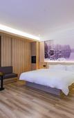 Туры в отель HanTing Premium Hotel (Hangzhou Xiaoshan International Airport)