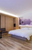 Туры в отель HanTing Premium Hotel (Hangzhou Xiaoshan International Airport)