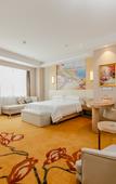 Туры в отель Vienna International Hotel (Chengdu Pidu Bailun Plaza)